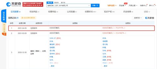 關(guān)聯(lián)公司注冊(cè)資本大幅提升至9.3億美元，增幅超75.47%，聚焦技術(shù)咨詢(xún)與技術(shù)服務(wù)領(lǐng)域