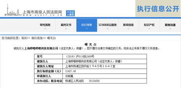 嗶哩嗶哩因不履行法律義務被上海高院列為被執行人 技術咨詢及技術服務糾紛的警示